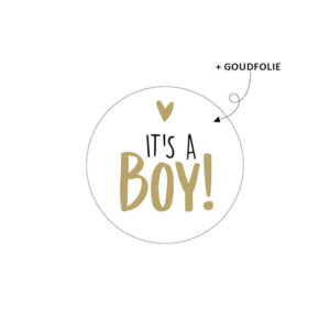 Geboorte stickers jongen it's a boy