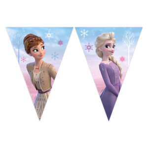 Feestversiering frozen 2 vlaggetjes lijn